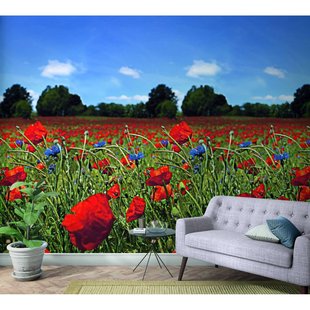 Fotobehang Klaprozen - Rood - Groen - Blauw - 2,70m X 159cm