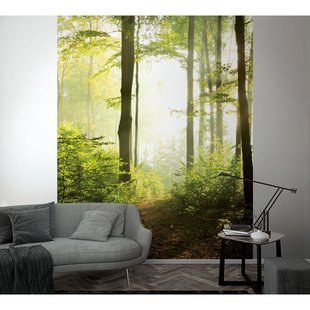 Fotobehang Bospad - Groen - Bruin - Geel - 2,70m X 212cm