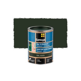 Sencys Beits Ramen En Deuren Dekkend Zijdeglans Ral6009 2,5l