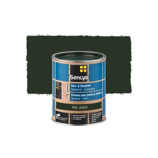 Sencys Lak Voor Deuren En Ramen Zijdeglans Ral6009 750ml
