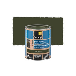 Sencys Lak Voor Deurenen Ramen Hoogglans Ral6003 750ml