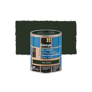 Sencys Lak Voor Deurenen Ramen Hoogglans Ral6009 750ml