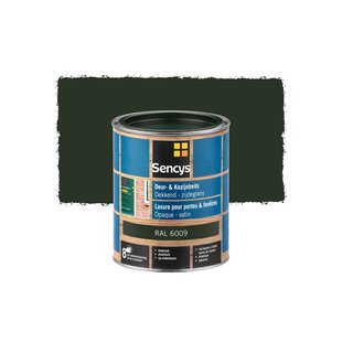 Sencys Beits Ramen En Deuren Dekkend Zijdeglans Ral6009 0,75l