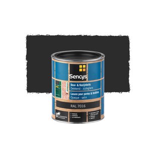 Sencys Beits Ramen En Deuren Dekkend Zijdeglans Ral7016 0,75l