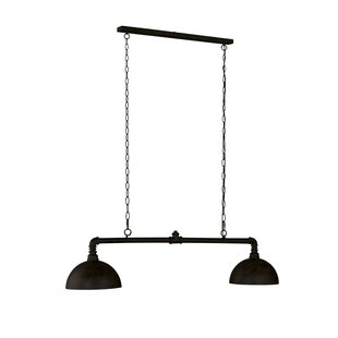 Fischer & Honsel Hanglamp Leitung Zwart 2xe27 60w