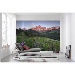 Fotobehang Picturesque Switzerland - Meerkleurig - 2,80m X 450cm