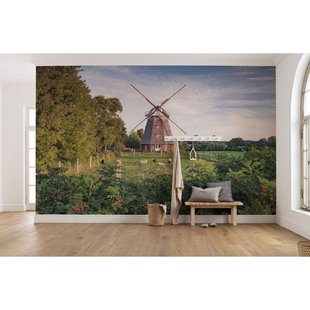 Fotobehang Tage Wie Deze - Meerkleurig - 2,80m X 450cm