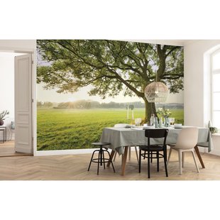 Fotobehang The Magic Tree - Meerkleurig - 2,80m X 450cm