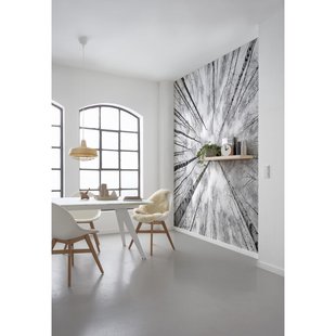 Fotobehang Weiss - Blauw - Zwart - 2,80m X 450cm