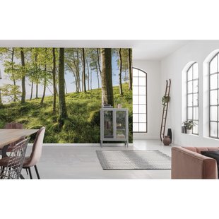 Fotobehang Zauberhaftes Buchenspektakel - Meerkleurig - 2,80m X 450cm