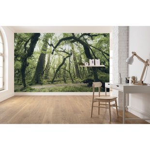 Fotobehang Ancient Green - Groen - 2,80m X 450cm