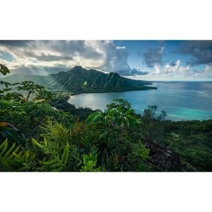 Fotobehang Jurassic Island - Meerkleurig - 2,80m X 450cm