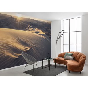 Fotobehang Mojave Heights - Bruin - 2,80m X 450cm
