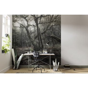 Fotobehang Das Model - Zwart - 2,80m X 250cm
