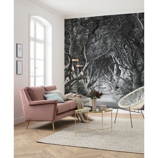 Forevenue Fotobehang - Zwart - 2,80m X 250cm