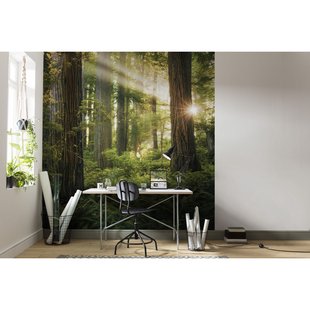 Fotobehang Goblins Woods - Groen - 2,80m X 250cm