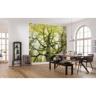 Der Traumbaum Fotobehang Der Traumbaum - Groen - 2,80m X 450cm