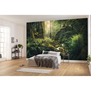 Fotobehang Elves Cathedral - Meerkleurig - 2,80m X 450cm