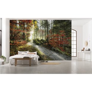 Fotobehang Feuerzungen - Meerkleurig - 2,80m X 450cm