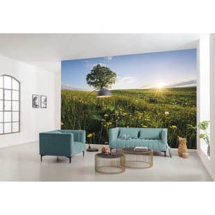 Fotobehang Auf Dem Land - Meerkleurig - 2,80m X 450cm
