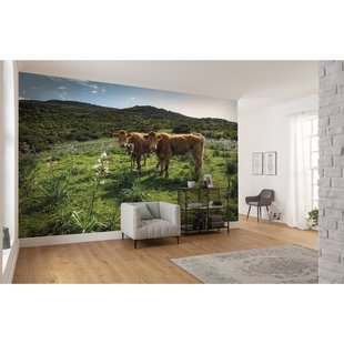 Fotobehang Kuhparadies - Meerkleurig - 2,80m X 450cm