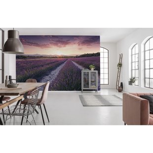 Fotobehang Lavender Dream - Meerkleurig - 2,80m X 450cm