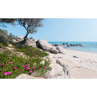Fotobehang Mediterrane Traüme - Meerkleurig - 2,80m X 450cm