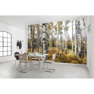 Fotobehang Colorful Aspenwoods - Meerkleurig - 2,80m X 450cm