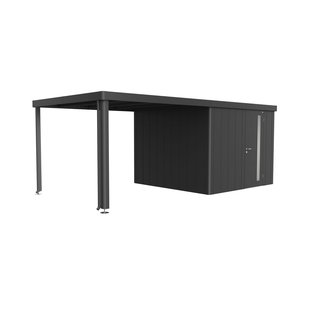 Biohort Overkapping Voor Tuinhuis Neo 3a/3b/3c/3d Donkergrijs Metallic 300x291x220cm