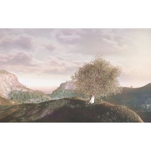 Fotobehang Magische Plek - Meerkleurig - 2,50m X 400cm