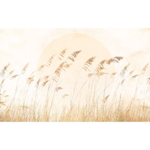 Fotobehang Dune Grass - Bruin - 2,50m X 400cm