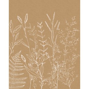 Fotobehang Herbs Garden - Bruin - 2,50m X 200cm