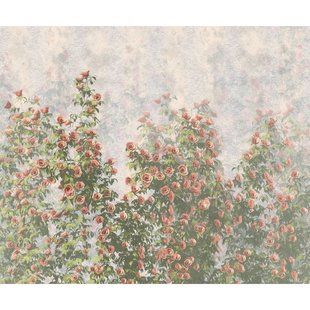 Fotobehang Wall Roses - Meerkleurig - 2,50m X 300cm
