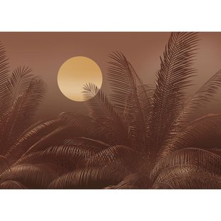 Fotobehang Calypso - Bruin - 2,50m X 350cm