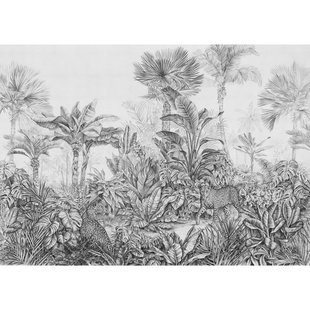 Fotobehang Leopards - Zwart - 2,50m X 350cm