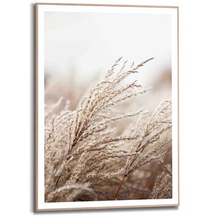 Schilderij Helmgras Slim Frame Mdf 50x70cm