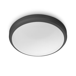 Philips Plafondlamp Doris Zwart ⌀22cm 6w