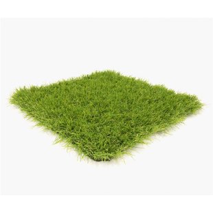 Exelgreen Kunstgras Azaro 40 Mm/2x3m