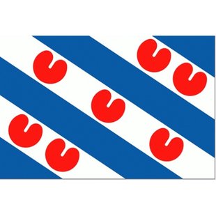 Vlag Van De Provincie Friesland 40x60cm