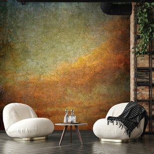 Fotobehang Cracquelé - Burned Orange - Vergrijsd Groen - Terra - Grijs - 2,70m X 265cm