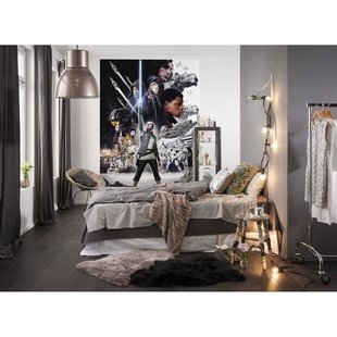 Komar Fotobehang Star Wars Balans - Meerkleurig - 2,54m X 184cm