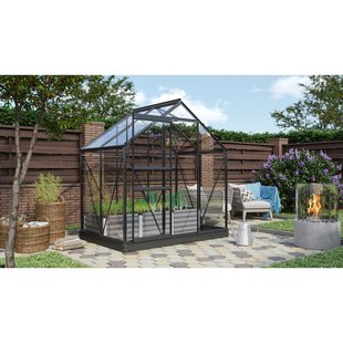 Vitavia Tuinkas Venus 2500 - Veiligheidsglas 3mm - Zwart - 195x131x197cm