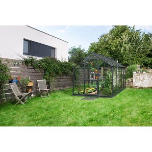 Vitavia Tuinkas Venus 6200 - Veiligheidsglas 3mm - Zwart - 195x131x197cm