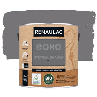 Renaulac Echo Bio Muurverf - Mat - Zwart - 2,5l