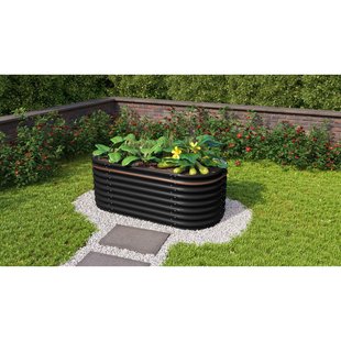 Vitavia Verhoogd Moestuinbed Vita Maat 630 Zincalume Zwart 162x82x63cm