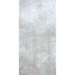 Buitentegel - Ark - Zilvergrijs - Mat - 20 Mm - 45x90 Cm - 0,81 M²