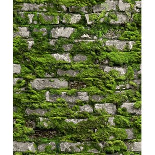 Vliesbehang Stenen Muur Mos - Groen - Mosgroen - Grijs - Donkergrijs - Offblack - 10,05m X 53cm