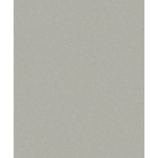 Vliesbehang Uni - Taupe - Grijs - 10,05 M X 53 Cm