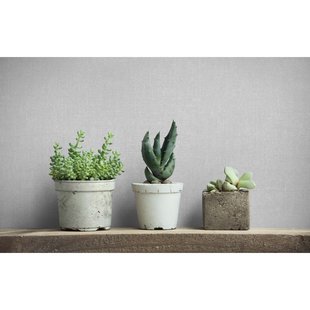 Vliesbehang Uni Linnen - Lichtgrijs - Zilvergrijs - 10,05m X 53cm