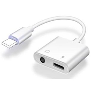 Carpoint 2 In 1 Adapter Lightning > Aux & Lightning